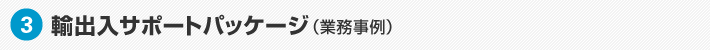 輸出入サポートパッケージ（業務事例）