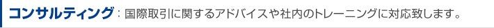 コンサルティング：国際取引に関するアドバイスや社内のトレーニングに対応致します
